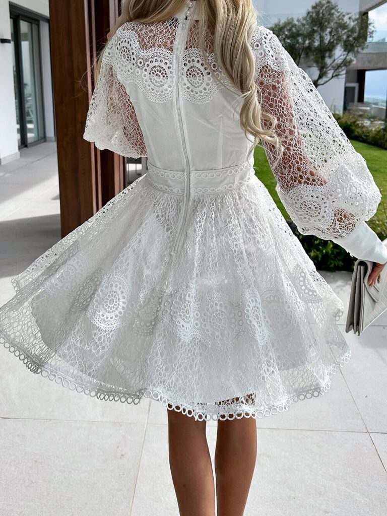Lace Long Sleeve Elegant Mini Dress