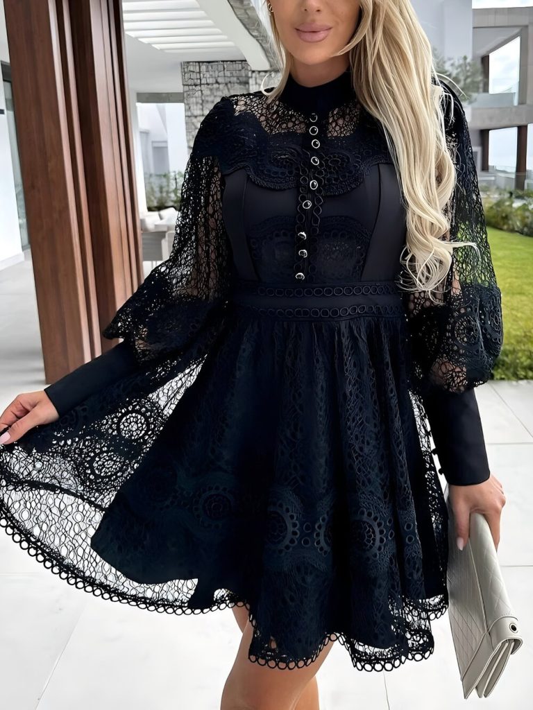 Lace Long Sleeve Elegant Mini Dress
